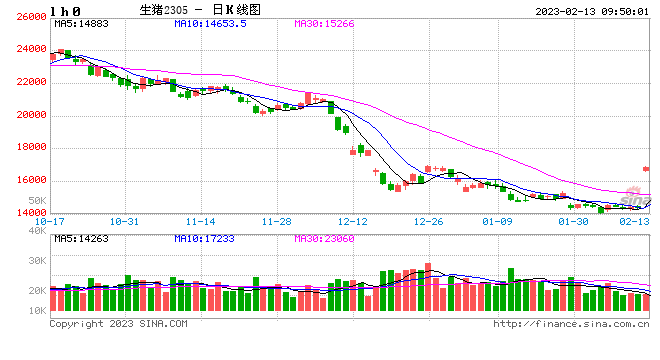 快讯：生猪期货主力合约日内涨超3%